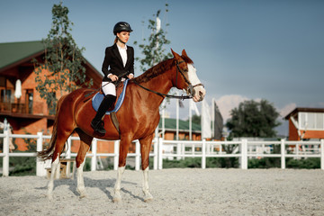 Rider elegant woman riding her horse outside