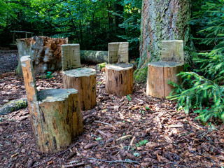 Small Chairs of Wood