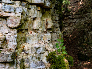 Wutach Canyon Black Forest 