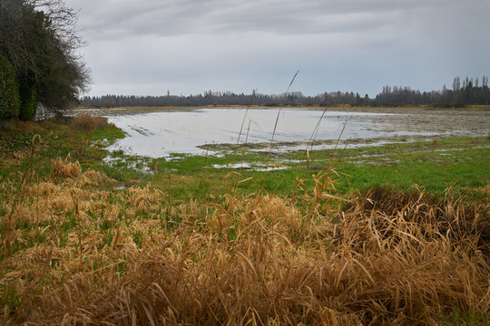 Farm Field Flood. A farm field flooded after heavy rain. 

