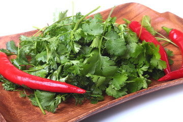 Fresh green cilantro, coriander leaves and chili pepper on wooden board.