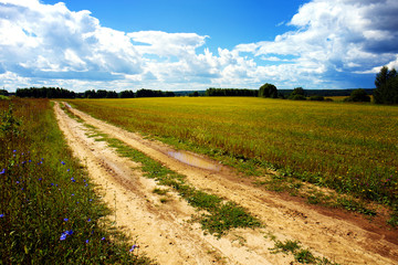 The road along the field, going away on a Sunny summer day