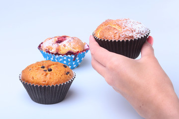 Homemade Blueberry ore chocolate muffins with powdered sugar and fresh berries in woman hand.