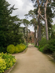 Fototapeta na wymiar Garden path on the Sandringham Estate