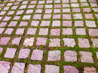 camino acera carretera con baldosas bordeadas de césped