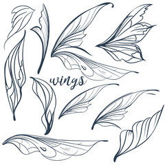 Fototapeta premium Collection of vector filigree magic wings