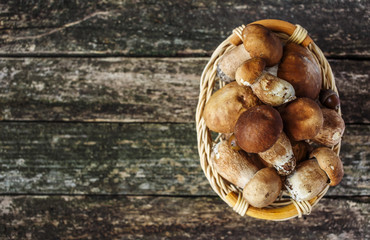 Mushroom Boletus over Wooden Background. Autumn Cep Mushrooms. Cooking delicious organic mushroom. Gourmet food