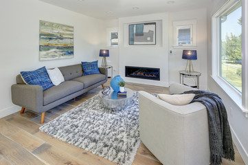 Modern living room with fireplace.