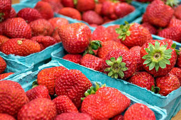 close up of ripe strawberries in turquoise produce boxes at the market