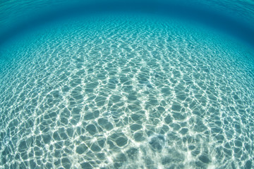 Sunlight Ripples Across Sandy Seafloor in Tropical Pacific Ocean