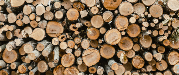 A large firewood, prepared in advance for the winter.