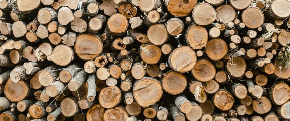 Möbelaufkleber Ein großes Brennholz, vorbereitet für den Winter. © Елена Нестерова