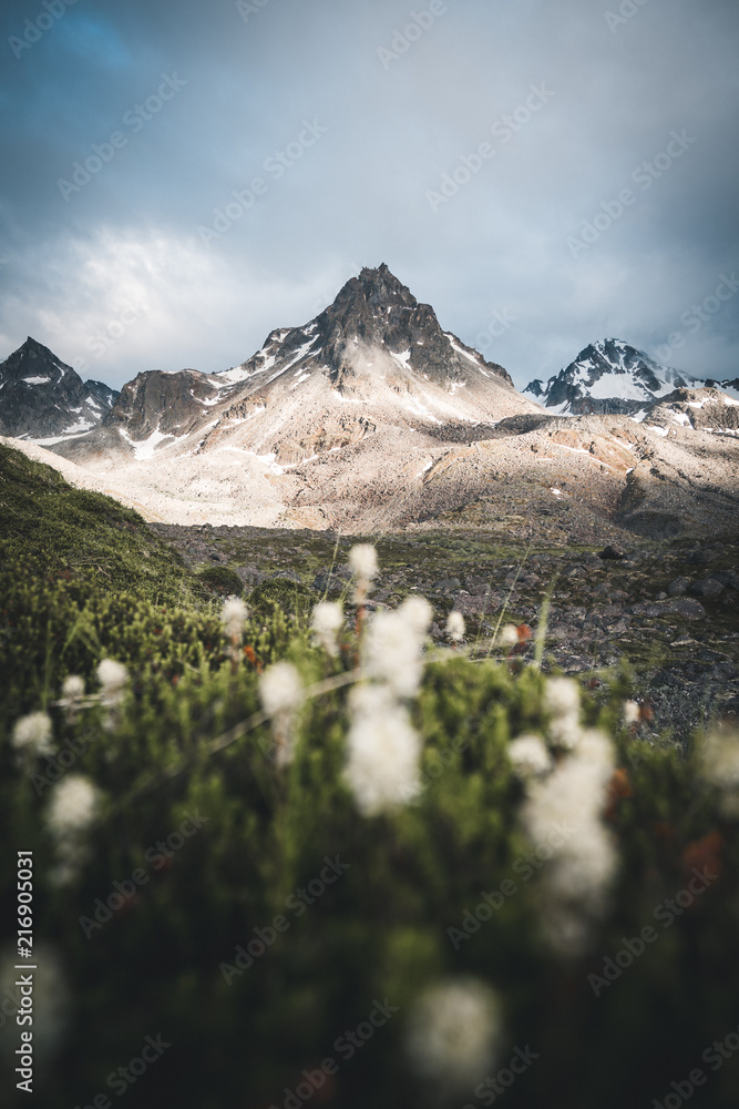 Wall mural mountain tundra 2