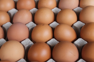 Close-up view of raw chicken eggs in egg box