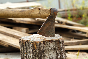 Old rusty axe stuck in a birch stump