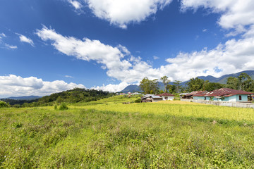 Fototapeta na wymiar Blue sky and houses near the Golo Cador Rice Terraces in Ruteng, Indonesia.