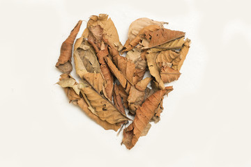 Heart Made of Yellow Brown Dry Leaves, Isolated on White Background