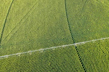 Schilderijen op glas corn field aerial view © MarekPhotoDesign.com