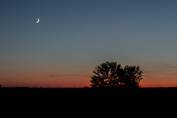Nature and industry side by side on the praire of Canada 