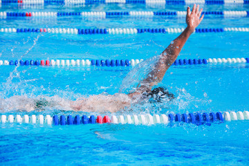 Backstroke swimmers in a race