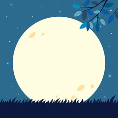 Fototapeta na wymiar Full moon with tree branch. Night background