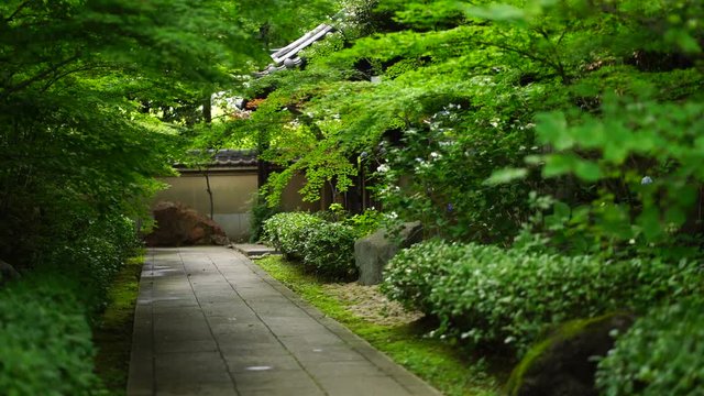 和風イメージ素材　庭園　4k