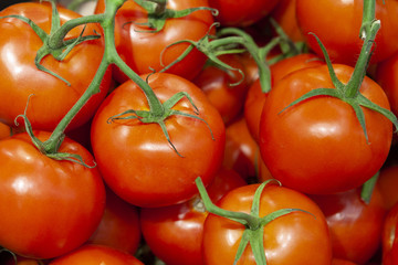 Heap of fresh ripe red tomatoes without branches close up.