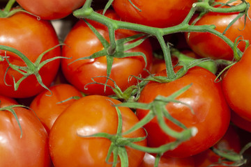 Heap of fresh ripe red tomatoes without branches close up.