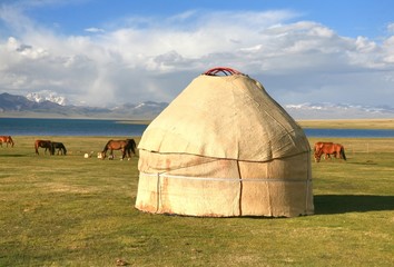 The horse  around ger camp in a large meadow at Song kul lake ,  Naryn of Kyrgyzstan
