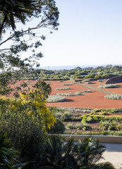 Australian botanical gardens background