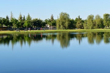Fototapeta na wymiar Beautiful scenic lake with ducks and other wildlife