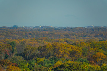 Aerial photo of forest during the fall or autumn season.  Skyline view.