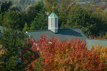 Green english colonial style roof with weather vane. Autumn (fall) season.