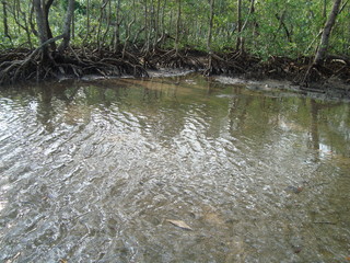 praia, Angra, RJ, Brasil
