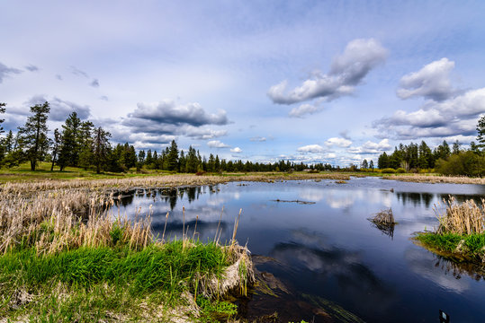 Turnbull National Wildlife Refuge