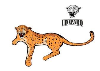 Leopard vector illustration, animals wild logo design