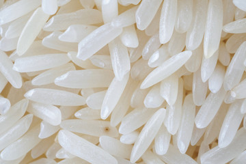 Thailand Jasmine rice texture background close up