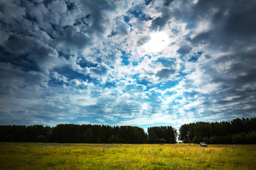 Plakat Summer landscape. Ust-Khmelevka, Western Siberia, Russia