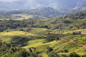 Fototapeta na wymiar Landscape of a part of the Golo Cador Rice Terraces in Ruteng on Flores, Indonesia.