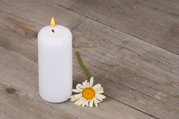 Fototapeta na wymiar burning white candle and camomile flower
