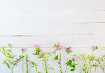 wild beautiful flowers on white rustic wooden background