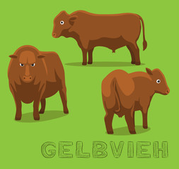 Cow Gelbvieh Cartoon Vector Illustration
