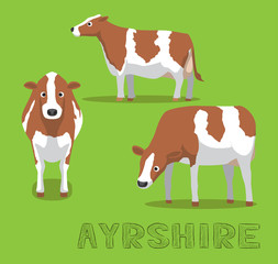 Cow Ayrshire Galloway Cartoon Vector Illustration