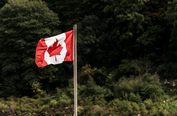 Canadas National Flag waving in the the wind in front of green trees canadian wood forest Maple Leaf nations symbol