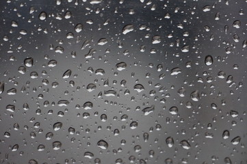 raindrops on the glass