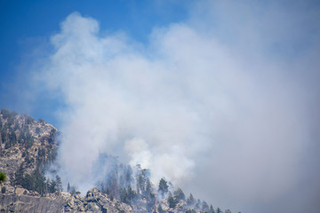 The white smoke rising to blue sky from forest fire during a controlled burn in Kings Canyon National Park