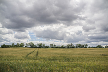 Landschaft im Sommer