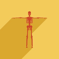 Human skeleton standing. Halloween party design template. Web icon with long shadow