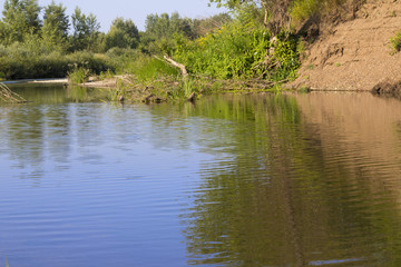 Beautiful summer nature, river, river bank, trees, sky, place for fishing
