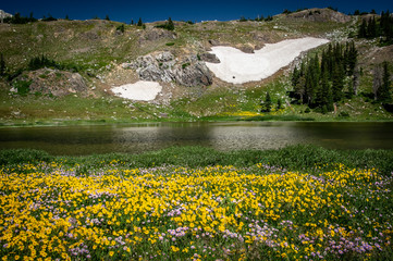 Lake landscape in the Medicine Bow Mountains